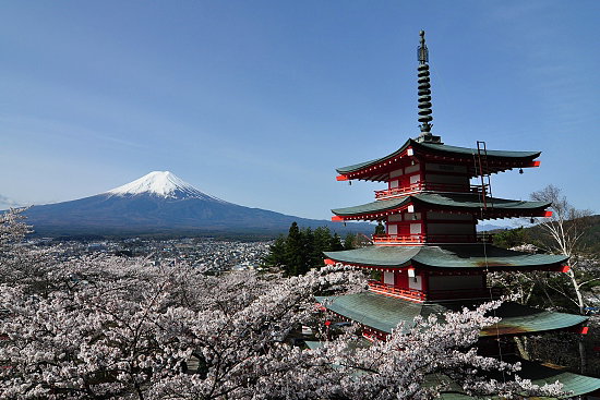 Bliżej orientu: Hanami - święto kwitnącej wiśni