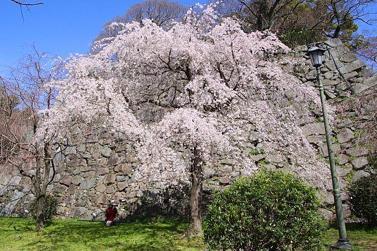 b319200-991f8a8