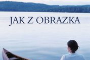 „Jak z obrazka” Jodi Picoult