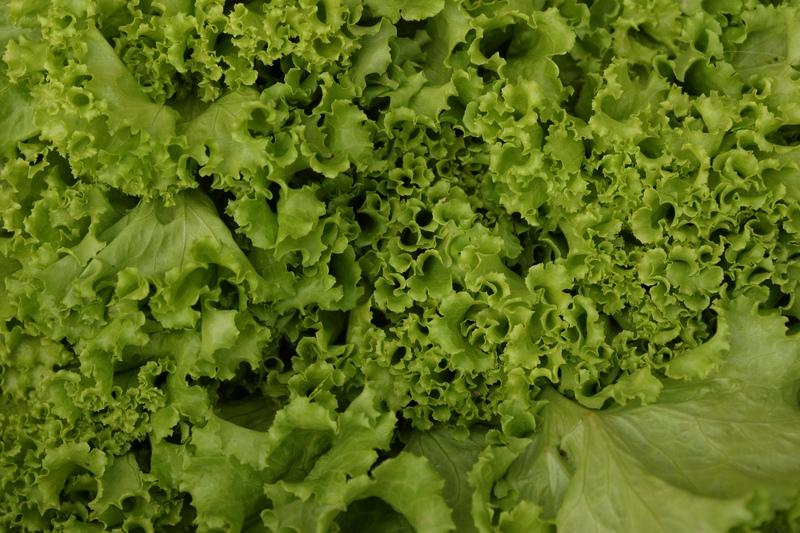 salata