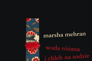 Nowości w „serii z miotłą”