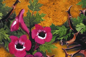 Fitoterapia – pomocna w zwalczaniu bólu reumatycznego