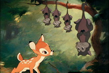 Bambi oraz Bambi 2 już na Blu-ray i DVD