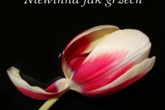 Niewinna jak grzech - recenzja