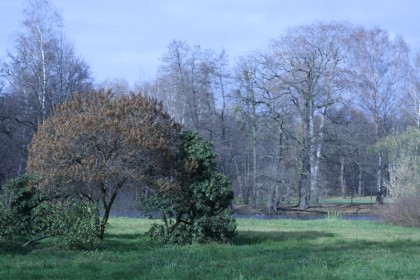 wedwoje211866-2de3f57