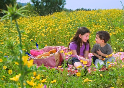 boy girl picnic