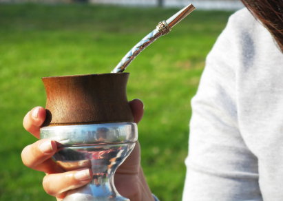 Yerba mate