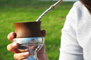Yerba mate