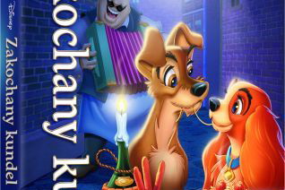 DVD Zakochany Kundel - recenzja