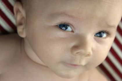 Baby Blue Eyes