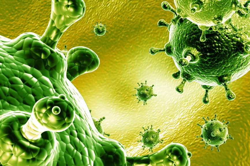 Wirus grypy H7N9 - dlaczego jest taki groźny?