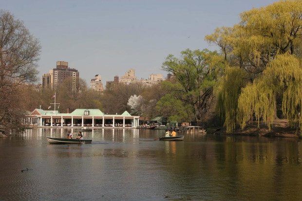 ALLONS109944central-park011-7eddafa