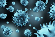 Czy grozi ci zarażenie wirusem Ebola?