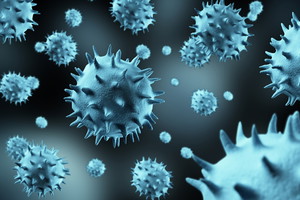 Czy grozi ci zarażenie wirusem Ebola?