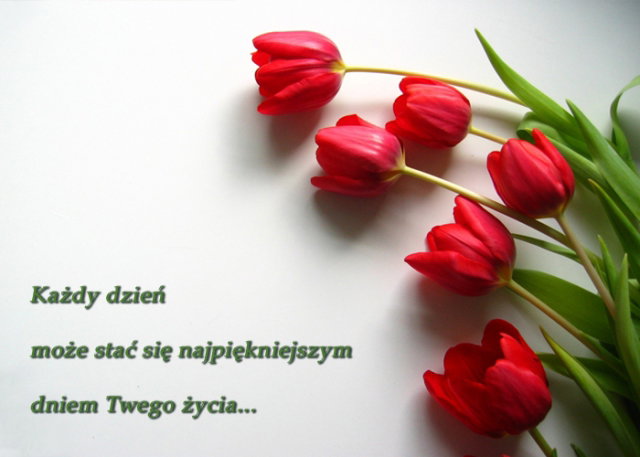 Nieznane