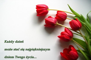 Nieznane
