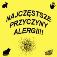 Czy.wieszjak
