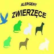 Czy.wieszjak