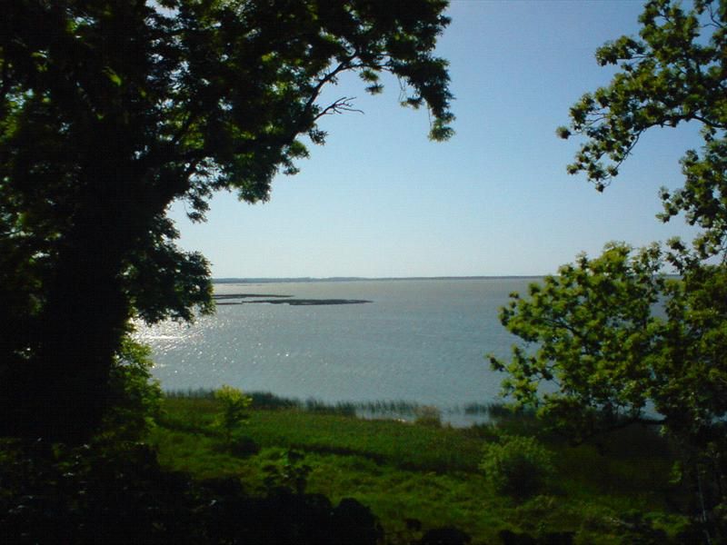 Nieznane