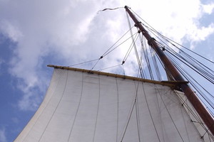 Nieznane