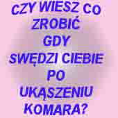 Czy.wieszjak