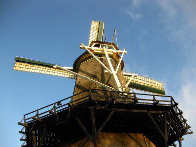 Czywiesz