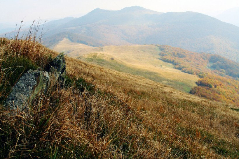 Czywiesz