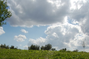Nieznane