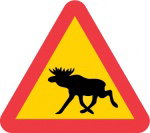 Czywiesz