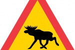 Czywiesz
