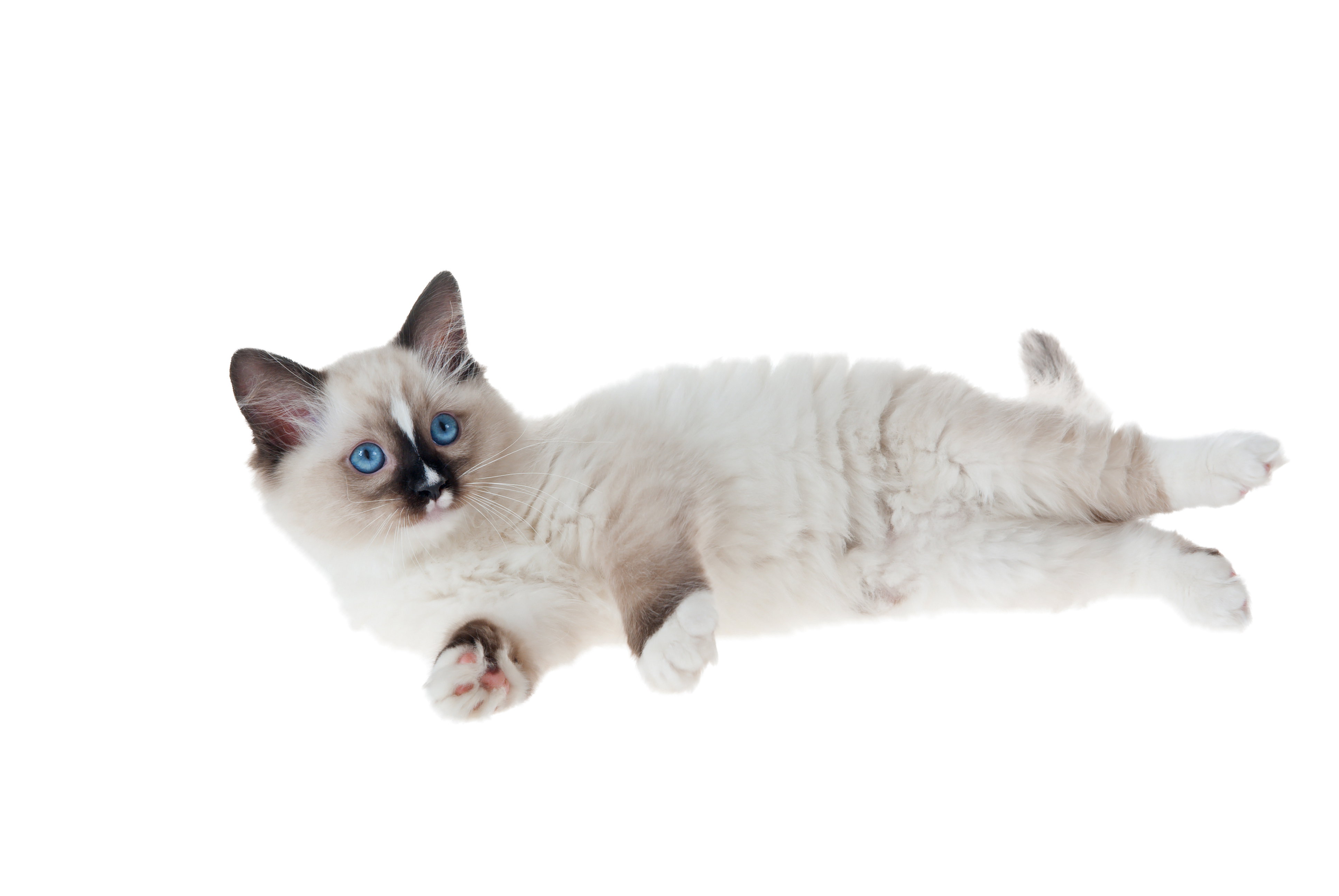 Fotolia