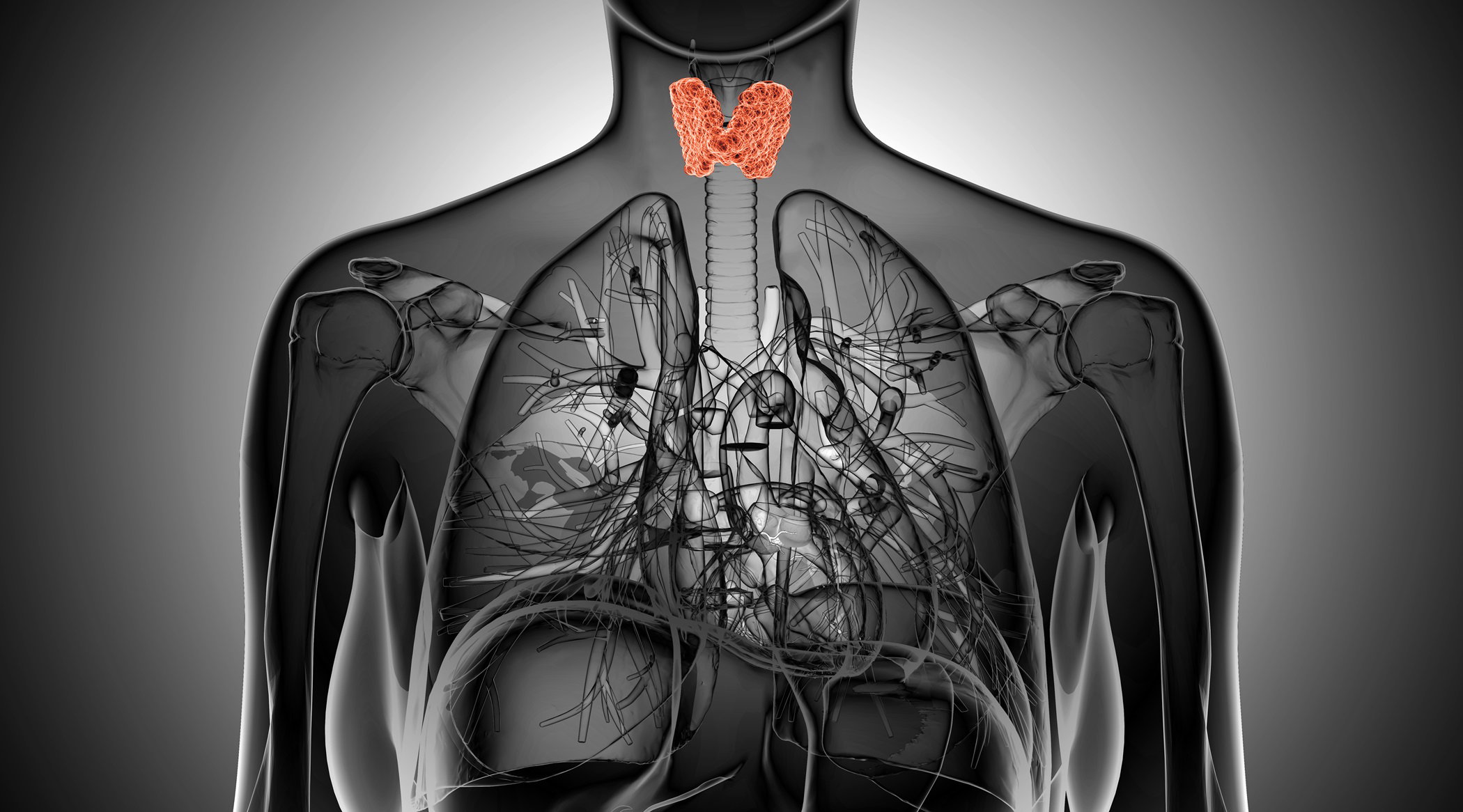 Fotolia