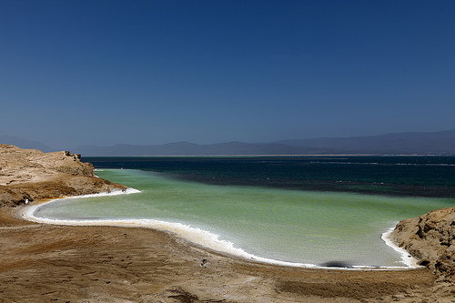 Nieznane