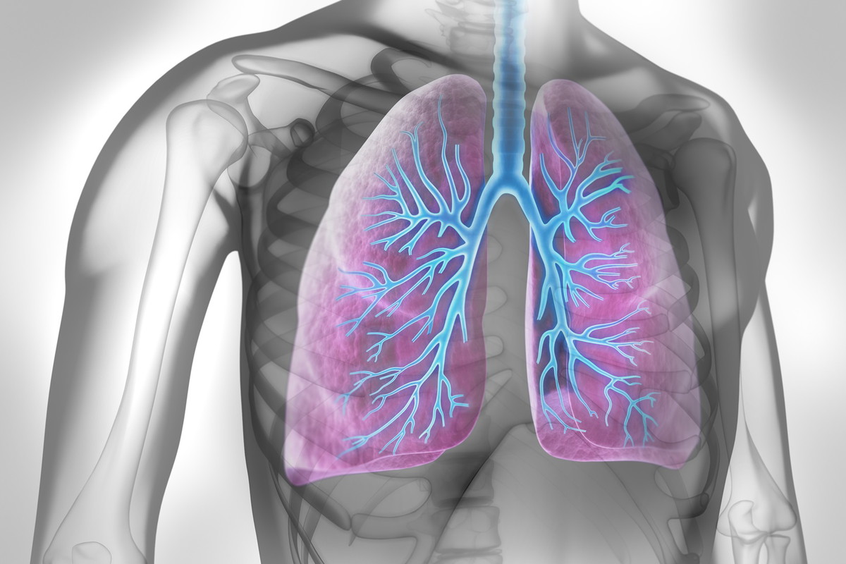 Fotolia
