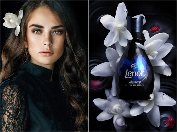 lenor-2436660-e71c651