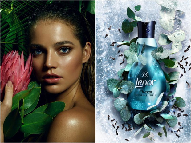 lenor-2436667-63835e4