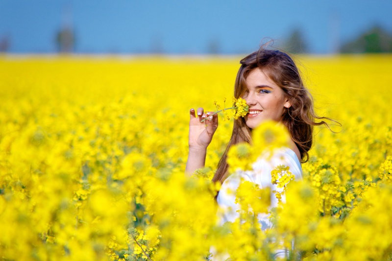 Fotolia