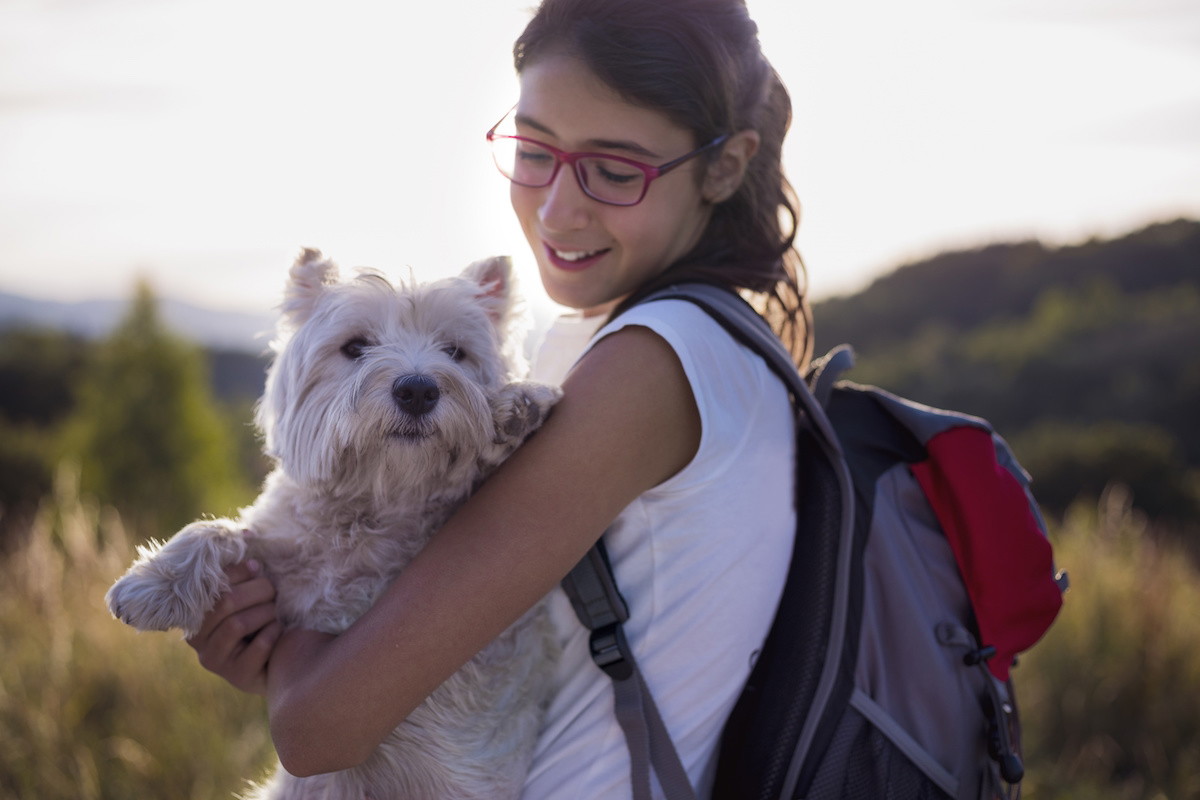west terrier