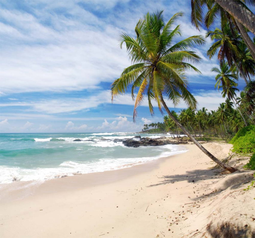 Sri lanka - wakacyjny kierunek