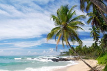Sri lanka - wakacyjny kierunek