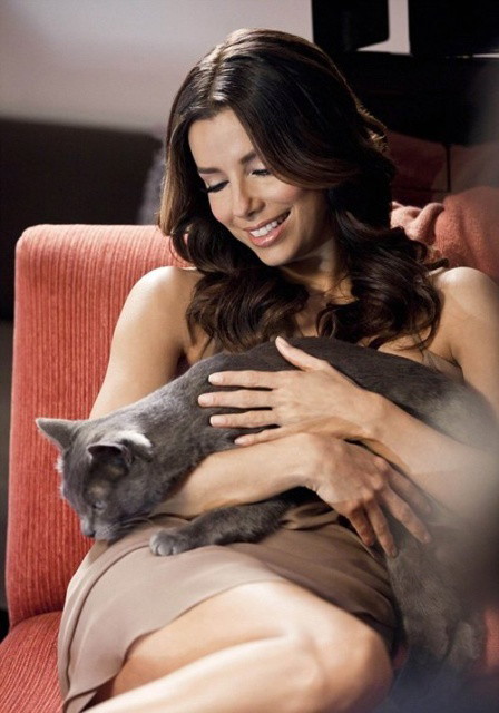 Eva Longoria w reklamie sheeba