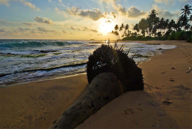 Sri lanka - wakacyjny kierunek