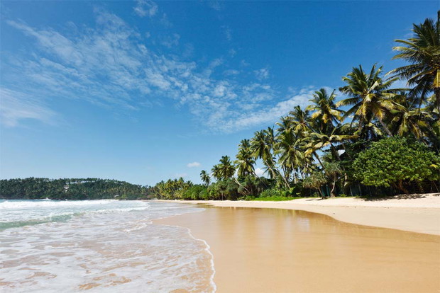 Sri lanka - wakacyjny kierunek