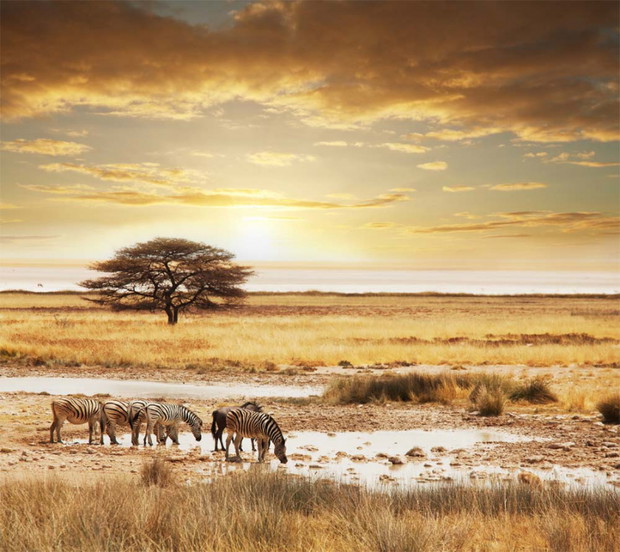 Ciekawe miejsca: Namibia