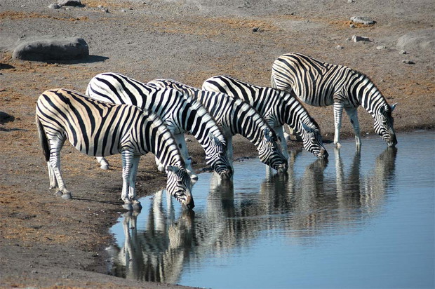 Ciekawe miejsca: Namibia