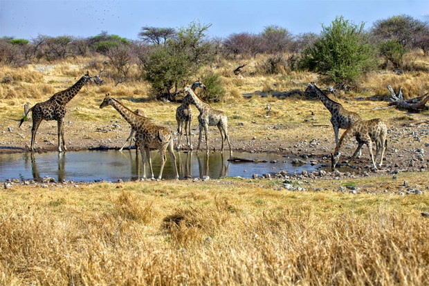Ciekawe miejsca: Namibia