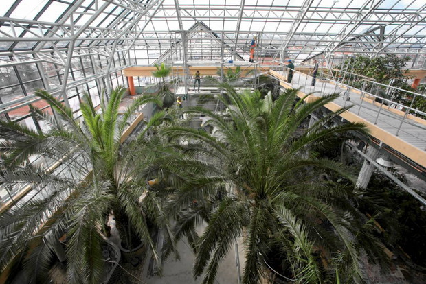 PALMIARNIA