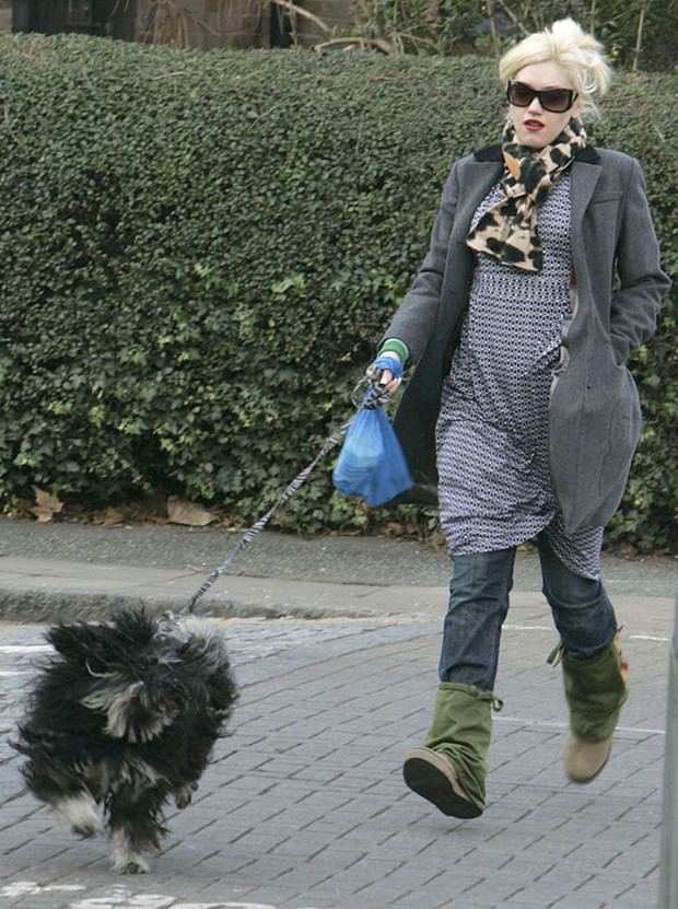 Gwen Stefani w ciąży