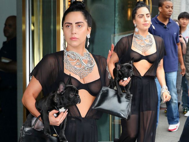 Lady Gaga na spacerze z psem