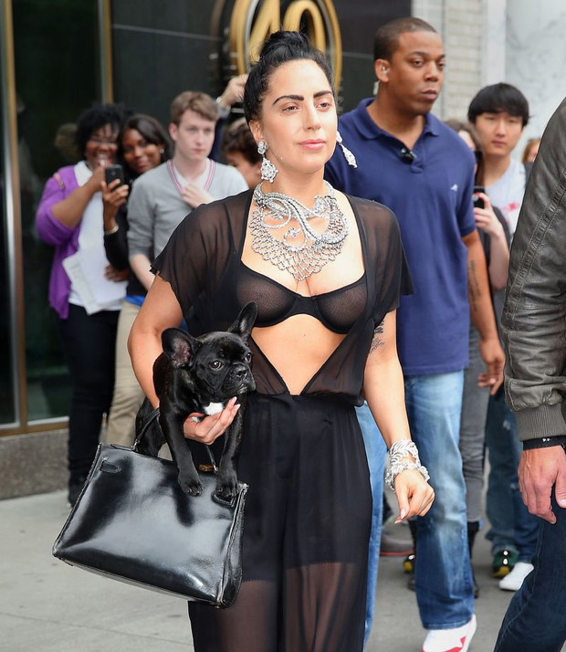 Lady Gaga na spacerze z psem